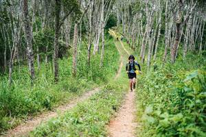 BIB: 
                            <button type="button" onclick="openModal(26294443)" class="btn btn-primary btn-sm float-right btn-popup" data-toggle="modal" data-target=".modal-high-quality">
                        <i class="fas fa-shopping-cart"></i> Add to Cart
                    </button>
                                            <button type="button" onclick="isThisMe(26294443, true)" class="btn btn-success btn-sm float-right btn-popup btn-isme hidden" data-toggle="tooltip" data-placement="bottom" title="นี่คือรูปของคุณใช่ไหม คลิกที่นี่เพื่อเอาเข้าอัลบั้ม">
                        <i class="fas fa-plus"></i> Add to album
                    </button>
                    <button type="button" onclick="isThisMe(26294443, false)" class="btn btn-warning btn-sm float-right btn-popup btn-isnotme hidden">
                        <i class="fas fa-ban"></i> Remove from album
                    </button>